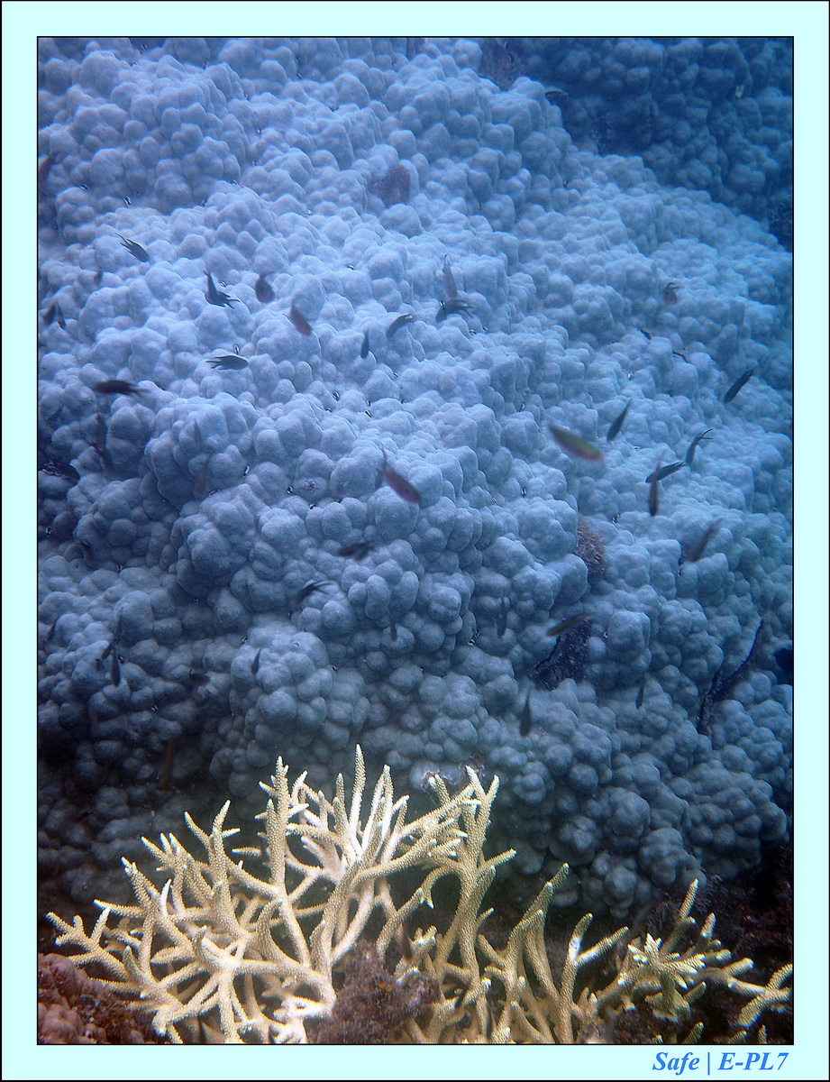 2015   07   Peranthian Islands 76